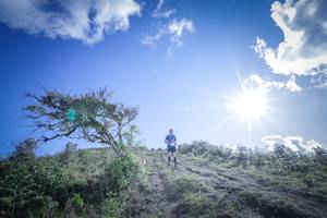 BIB: 5167
                            <button type="button" onclick="openModal(15955593)" class="btn btn-primary btn-sm float-right btn-popup" data-toggle="modal" data-target=".modal-high-quality">
                        <i class="fas fa-shopping-cart"></i> Add to Cart
                    </button>
                                            <button type="button" onclick="isThisMe(15955593, true)" class="btn btn-success btn-sm float-right btn-popup btn-isme hidden" data-toggle="tooltip" data-placement="bottom" title="นี่คือรูปของคุณใช่ไหม คลิกที่นี่เพื่อเอาเข้าอัลบั้ม">
                        <i class="fas fa-plus"></i> Add to album
                    </button>
                    <button type="button" onclick="isThisMe(15955593, false)" class="btn btn-warning btn-sm float-right btn-popup btn-isnotme hidden">
                        <i class="fas fa-ban"></i> Remove from album
                    </button>